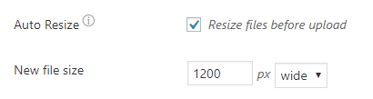 image resize options in the Formidable Forms upload field