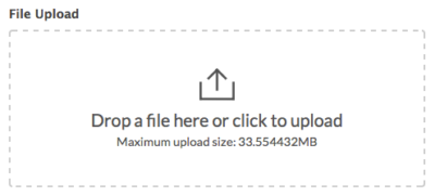 WordPress File Upload Form field type