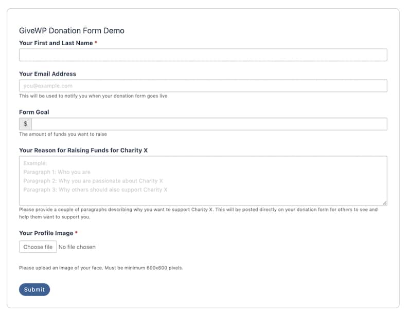 Formidable GiveWP donation form template