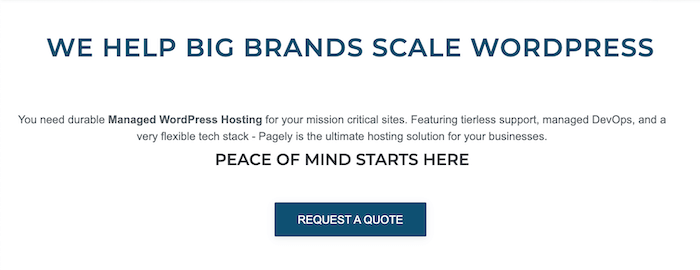 The home page for Pagely, a managed WordPress hosting provider.