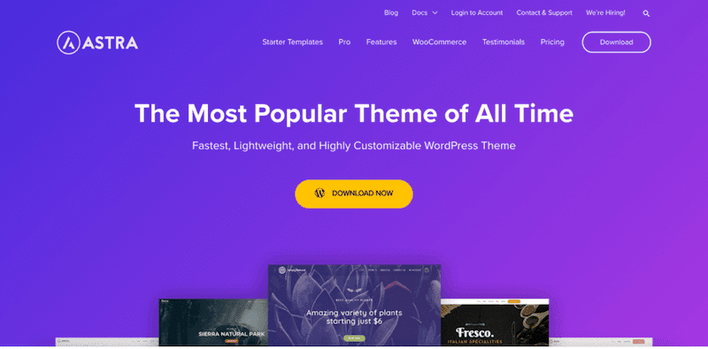 Astra Best WordPress theme