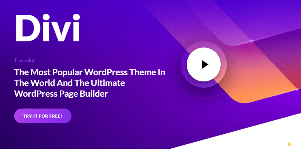 Divi theme