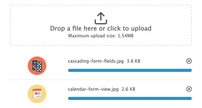 Formidable Forms file upload field