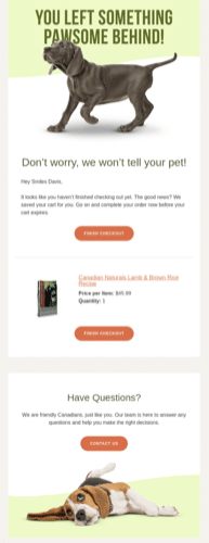 Abandoned cart email for pet supplies with section for questions