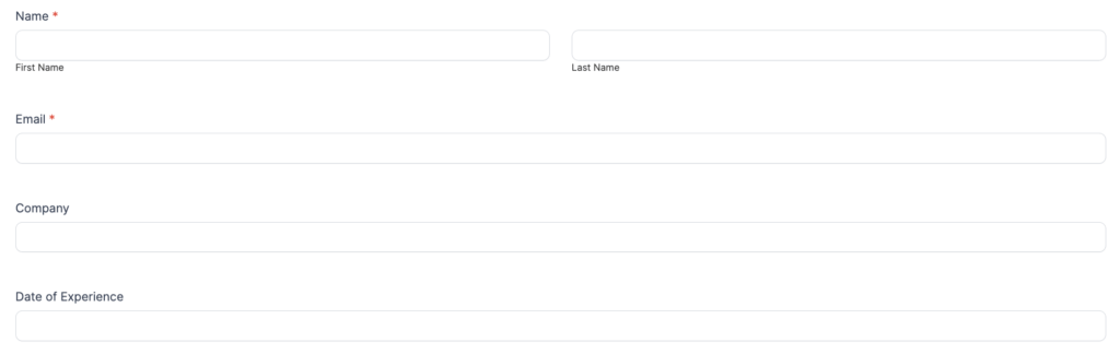 WordPress Customer Feedback form basic fields like name, email, company, and date of experience.